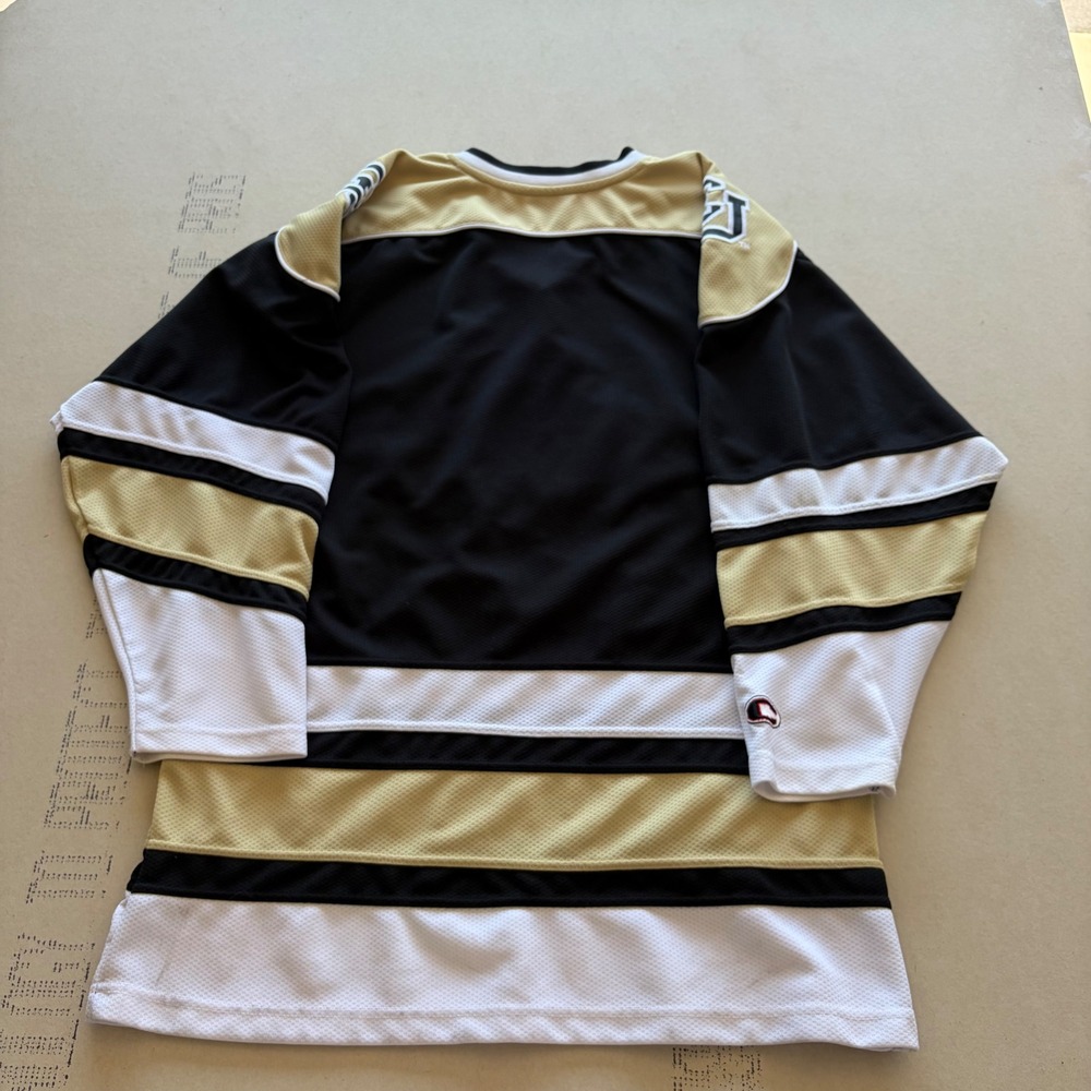 Y2K Colosseum Colorado Buffaloes Hockey Jersey - Picture 3 of 5